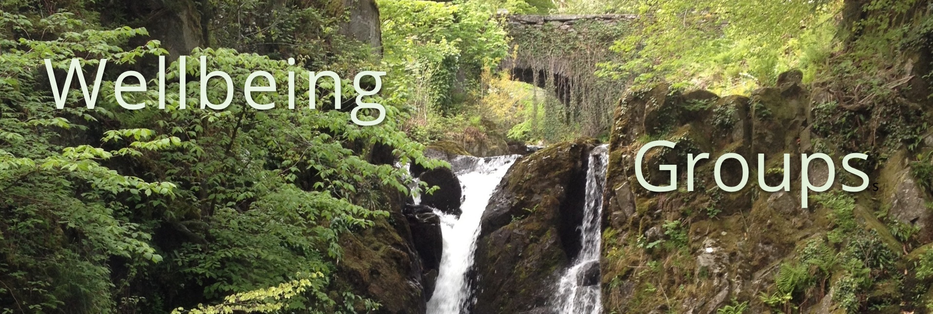 Wellbeing 4